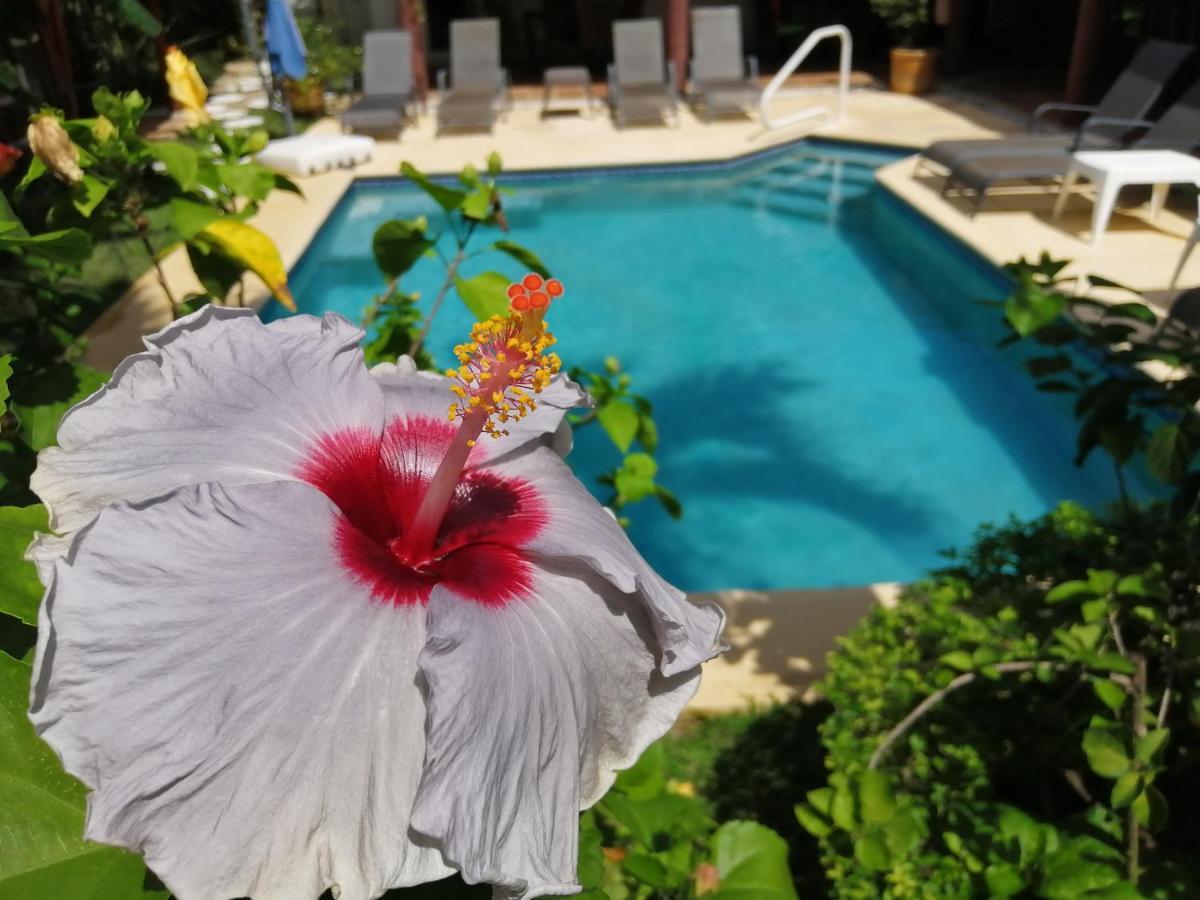 Villa Botero By Casa Mojito Santa Clara  Exterior photo